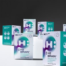 H2 Brain® 6-Month Program
