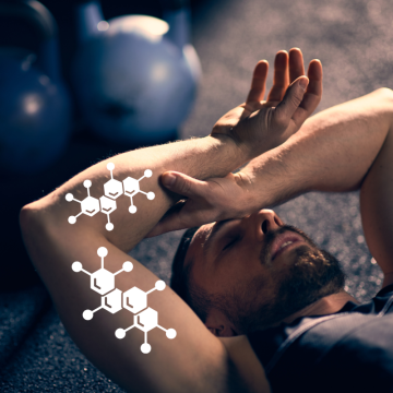 Why do all athletes want extract from Cordyceps sinensis (Chinese caterpillar fungus)?